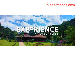 Tusker Valley Resort - Image 2