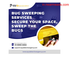 Ethical Hacking Cyber Security Course Delhi Get  Quality Bug  Sweeping  Services in Delhi