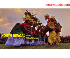 Tours and Travels in Kolkata Book Your North Bengal Tour Package from NJP for an Unforgettable Experience