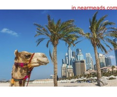 Tours and Travels in Jaipur Jaipur Tours and Travels – Popular Tour Packages