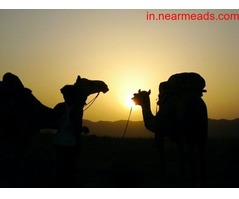 Tours and Travels in Jaipur Travel Agents in Jaipur